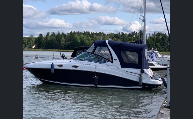Sea Ray 275-kuva-15